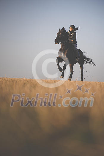 Female horse rider riding outdoors on her lovely horse Female horse rider riding outdoors on her lovely horse