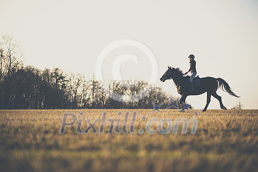Female horse rider riding outdoors on her lovely horse Female horse rider riding outdoors on her lovely horse