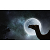 Camel animal and full moon at background