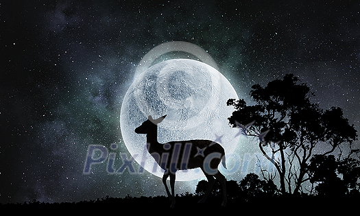 Deer animal at nigth and full moon at background Deer animal at nigth and full moon at background