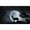 Deer animal at nigth and full moon at background