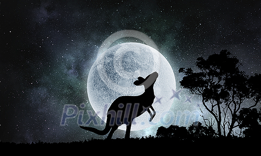 Kangaroo animal and full moon at background
