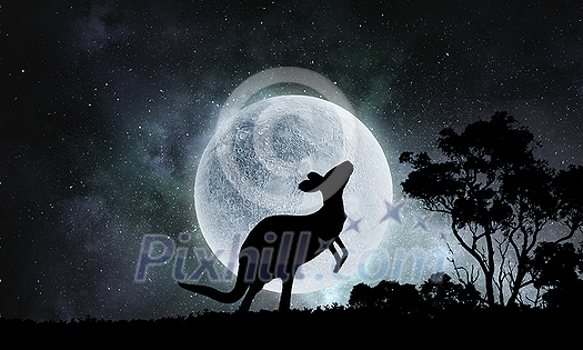 Kangaroo animal and full moon at background Kangaroo animal and full moon at background