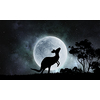 Kangaroo animal and full moon at background