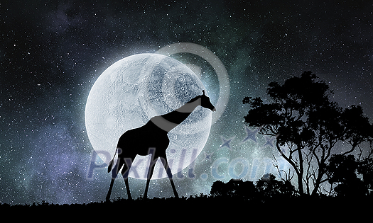 Natural Safari landscape and giraffe and full moon. Mixed media Natural Safari landscape and giraffe and full moon. Mixed media