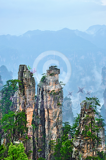 Famous tourist attraction of China - Zhangjiajie stone pillars cliff mountains in fog clouds at Wulingyuan, Hunan, China Famous tourist attraction of China - Zhangjiajie stone pillars cliff mountains in fog clouds at Wulingyuan, Hunan, China