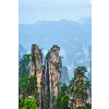 Famous tourist attraction of China - Zhangjiajie stone pillars cliff mountains in fog clouds at Wulingyuan, Hunan, China