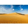 Dunes of Thar Desert. Sam Sand dunes, Rajasthan, India