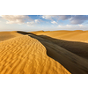 Sam Sand dunes in Thar Desert. Rajasthan, India