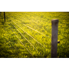 Electric fence around a pasture with animals grazing on fresh pasture grass