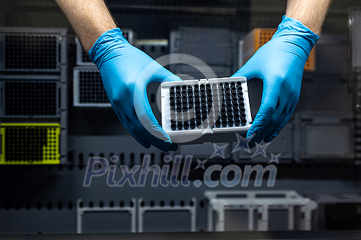 Hands of a researcher carrying out research experiment in a chemistry lab, in a flow box Hands of a researcher carrying out research experiment in a chemistry lab, in a flow box