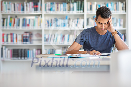 Students in a library - handsome student reading a book for his class in a bright modern library Students in a library - handsome student reading a book for his class in a bright modern library