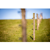 Electric fence around a pasture with animals grazing on fresh pasture grass