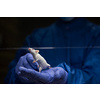 Scientist holding a lab mouse, evaluating her condition prior to running some tests and inoculation the animal with a virus