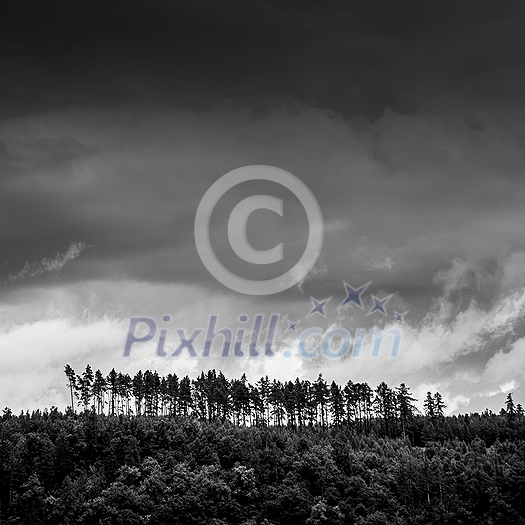Lovely forest covered hills with stormy clouds over them (color toned image) Lovely forest covered hills with stormy clouds over them (color toned image)