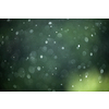 Rain falling from the sky, bringint the very needed humidity to the nature