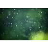 Rain falling from the sky, bringint the very needed humidity to the nature