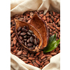 From above of cocoa pods with peeled beans in bag full of unprocessed unpeeled cocoa beans