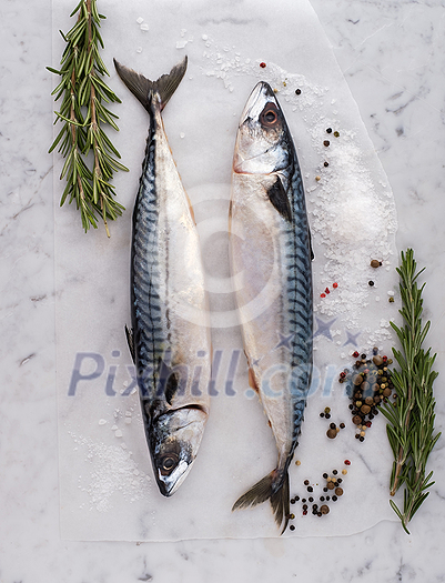 Fresh raw fish mackerel on the table with fresh herbs and spices. Top view. Fresh raw fish mackerel on the table with fresh herbs and spices. Top view.