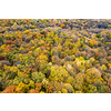 Bird's eye view from drone above colorful fall leaves on trees. Golden warm autumn at forest plantation. Seasonal nature concept.