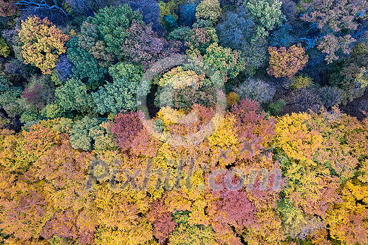 Bird's eye view from drone on mixed coniferous and deciduous forest during warm autumn season. Natural wallpaper and backdrop. Bird's eye view from drone on mixed coniferous and deciduous forest during warm autumn season. Natural wallpaper and backdrop.