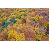 Seamless natural pattern of beautiful forest during autumn season. Multicolored fall leaves on trees. Aerial view from drone.