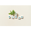 Bloom word formed of scrabble blocks with spring blossom on beige background.