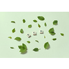Eco word formed of scrabble tiles with tree leaves scattered on light green background. Nature and renewable energy concept.