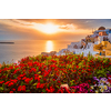 Scenic sunset over sea and picturesque Oia town on Santorini island in summer with red flowers on foreground