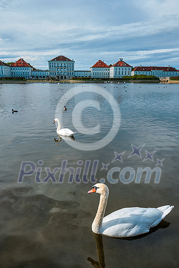 Swans in pond in front of the Nymphenburg Palace. Munich, Bavaria, Germany Swans in pond in front of the Nymphenburg Palace. Munich, Bavaria, Germany