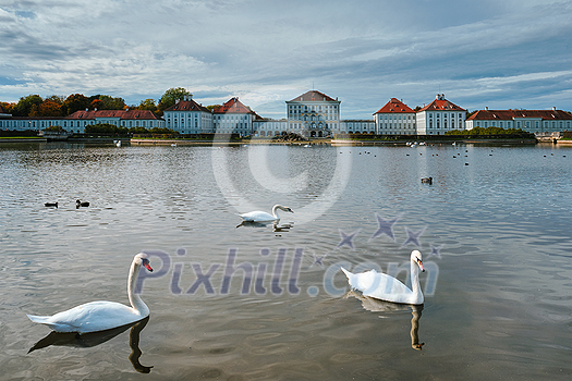 Swans in pond in front of the Nymphenburg Palace. Munich, Bavaria, Germany Swans in pond in front of the Nymphenburg Palace. Munich, Bavaria, Germany