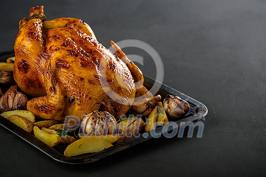 Roasted chicken with potatoes on a baking sheet. Copyspace. Roasted chicken with potatoes on a baking sheet. Copyspace.