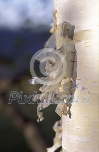 Background Stock Photos Subscription Background Stock Photos Subscription