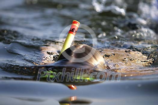 Online Leisure Stock Subscription Online Leisure Stock Subscription