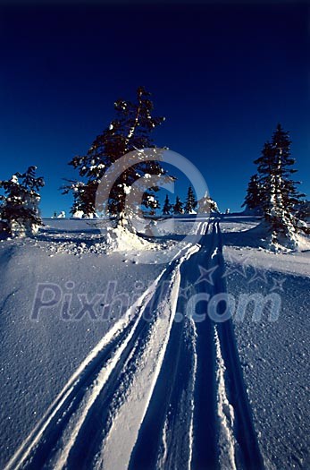 Online Leisure Stock Subscription Online Leisure Stock Subscription