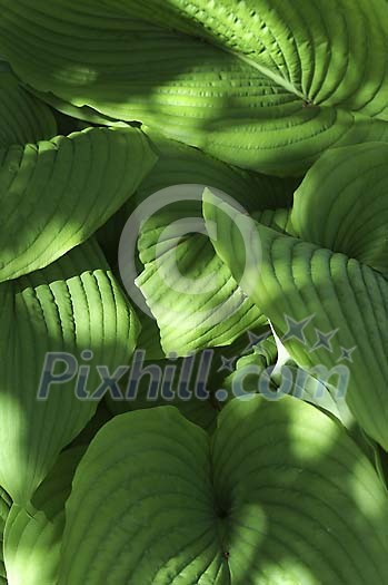 Background Stock Photos Subscription Background Stock Photos Subscription