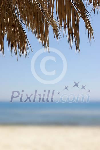 Palmtree branches and blurred beach Palmtree branches and blurred beach
