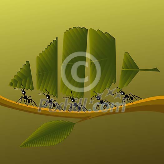 Vector image of ants carrying a leaf